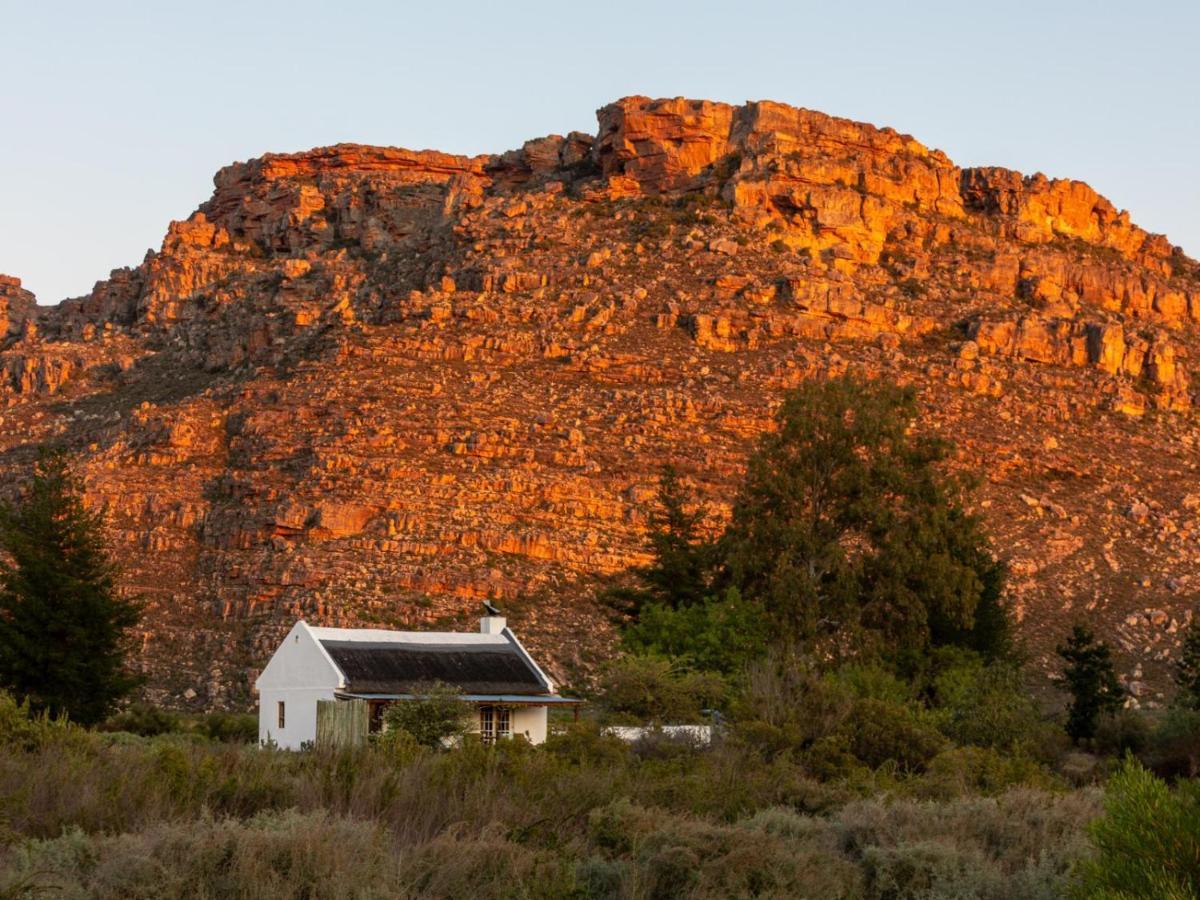 Alpha Excelsior Guest Farm Villa Clanwilliam Exteriör bild