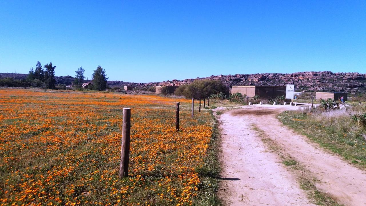 Alpha Excelsior Guest Farm Villa Clanwilliam Exteriör bild