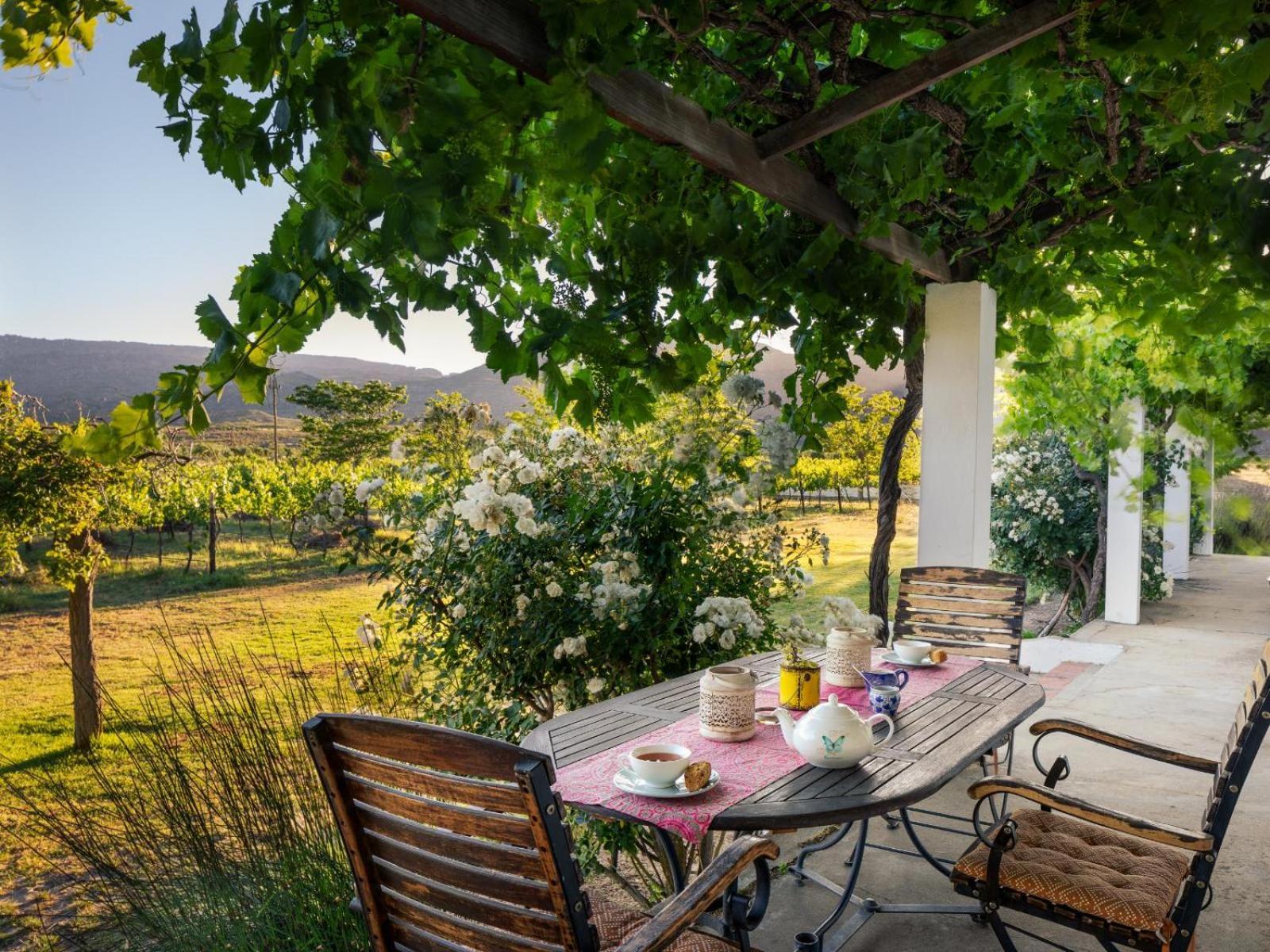 Alpha Excelsior Guest Farm Villa Clanwilliam Rum bild
